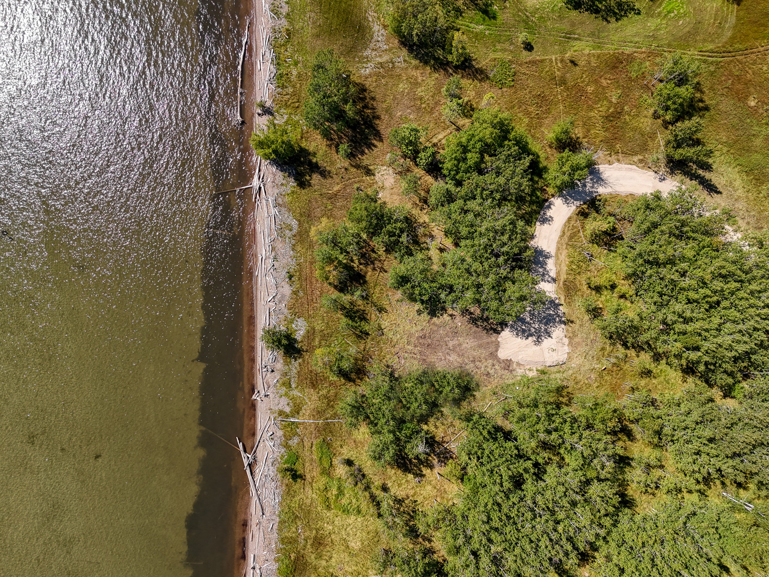 Scottsdale living room remodel blending desert palette and minimalist design