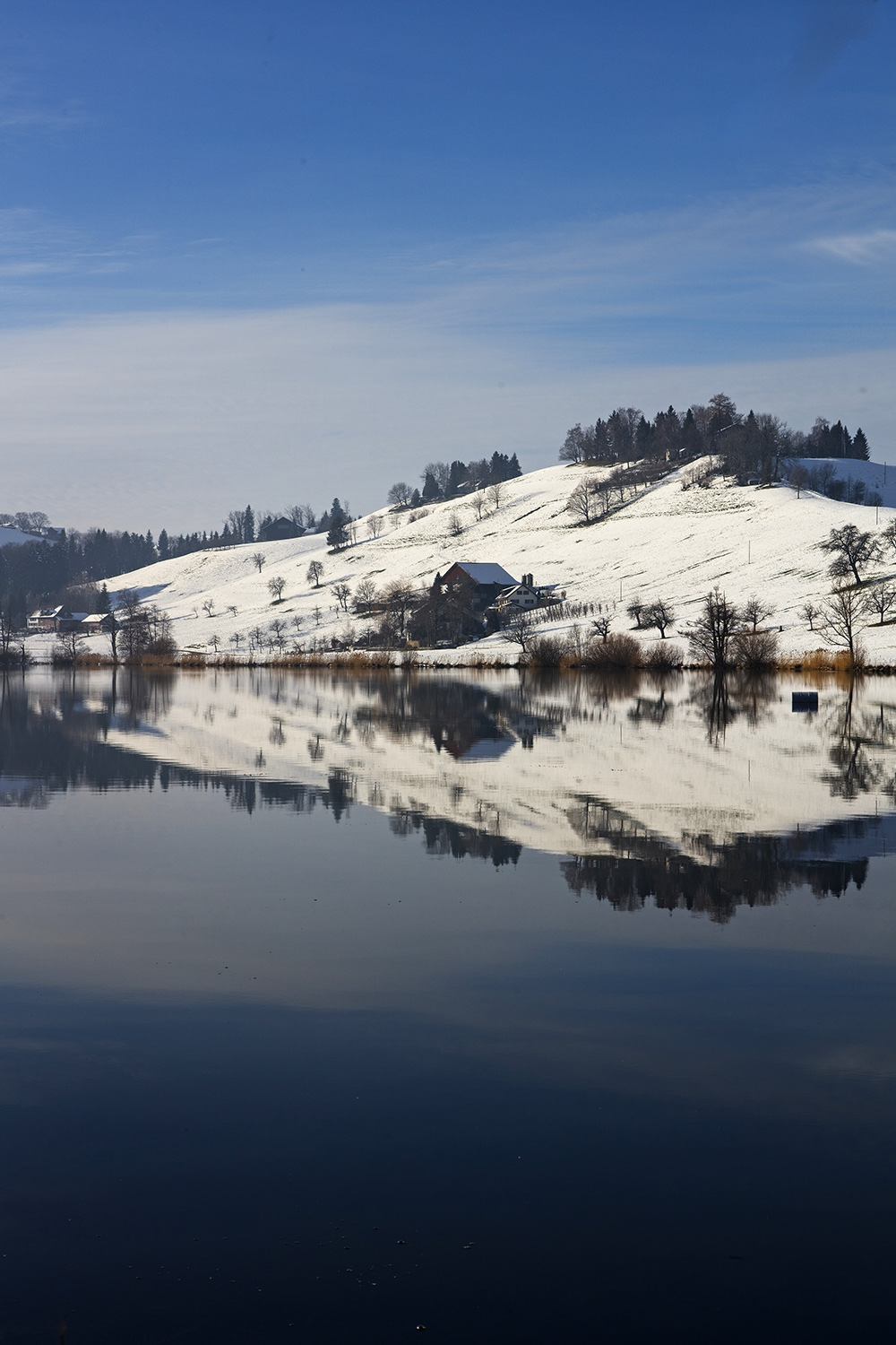 Mountain-view estate